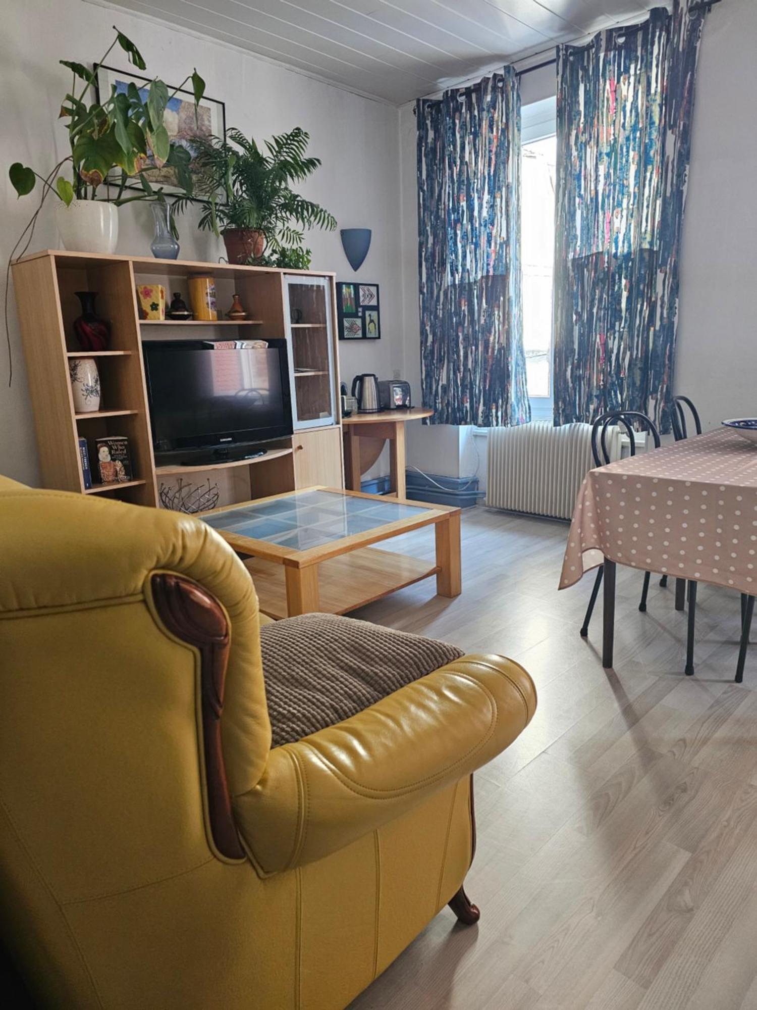 Felicita Vintage Appartements - Colmar City Center Eksteriør billede